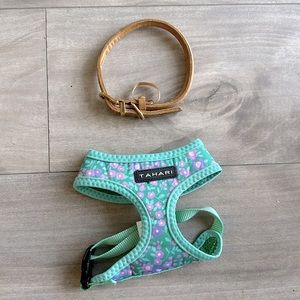 Small dog harness & collar 🐕